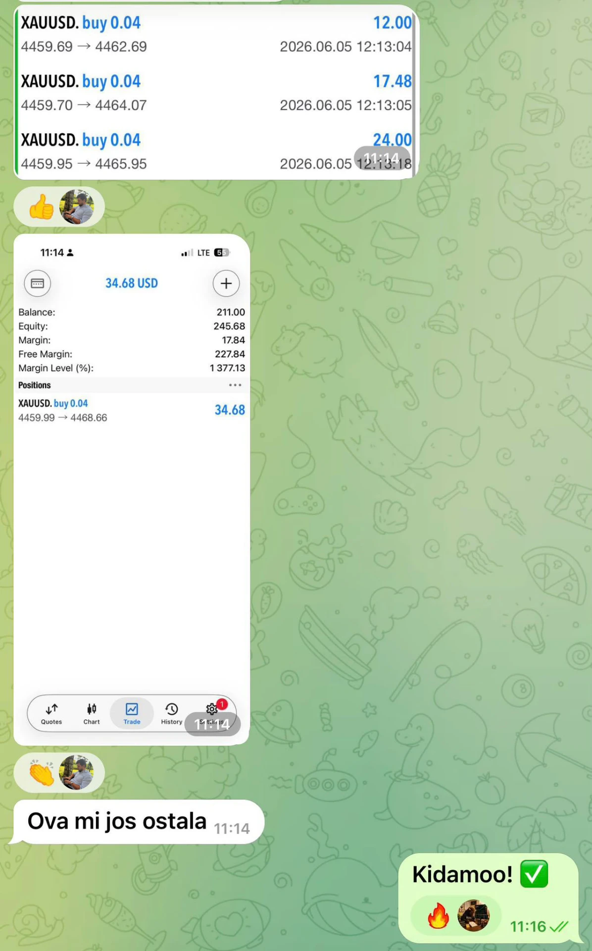 Rezultat člana grupe 7 - XAUUSD trejd